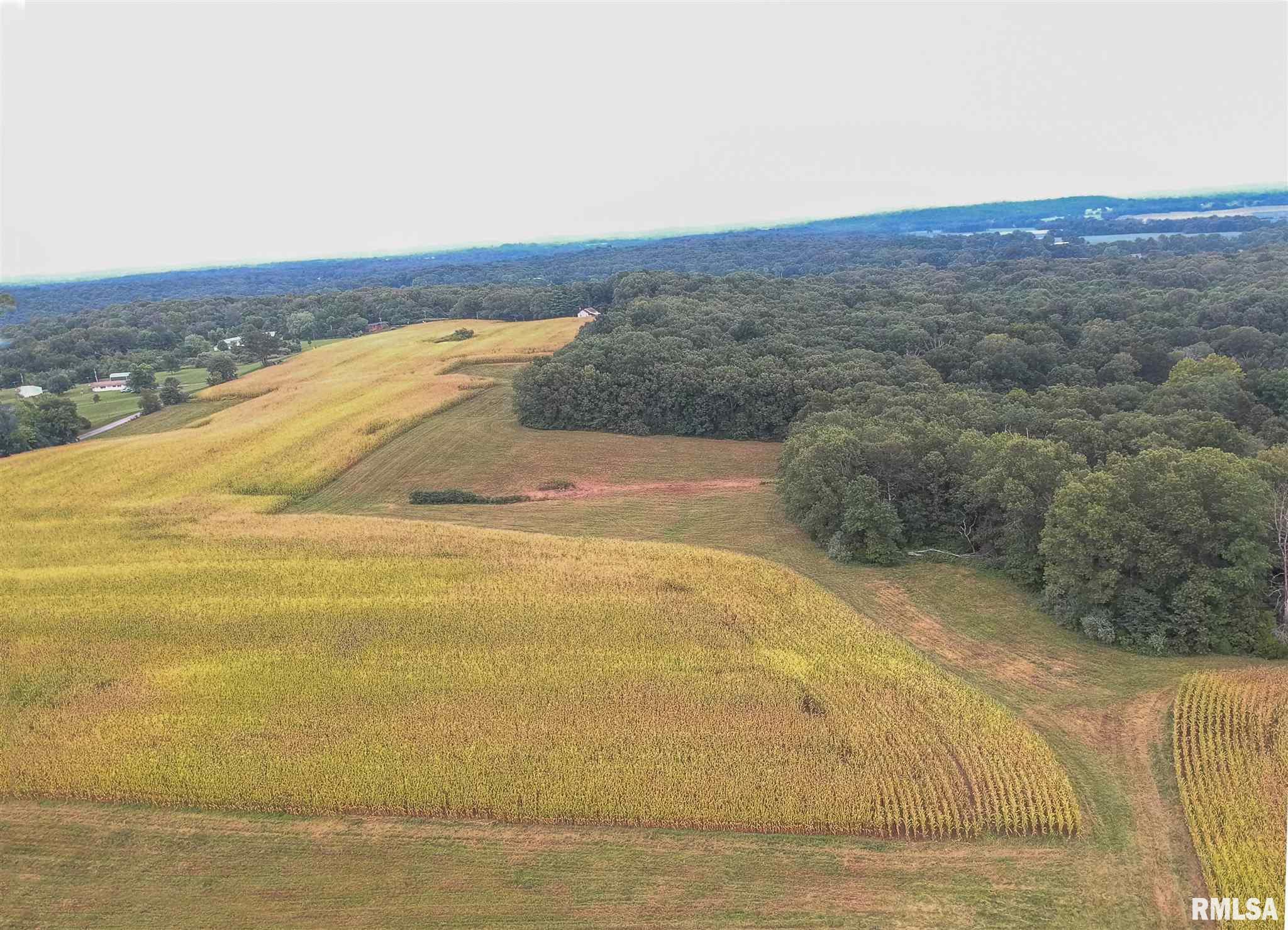 0 Pleasant Valley Road Creal Springs, IL 62922 - Photo 3 of 5 Gallery Image 3