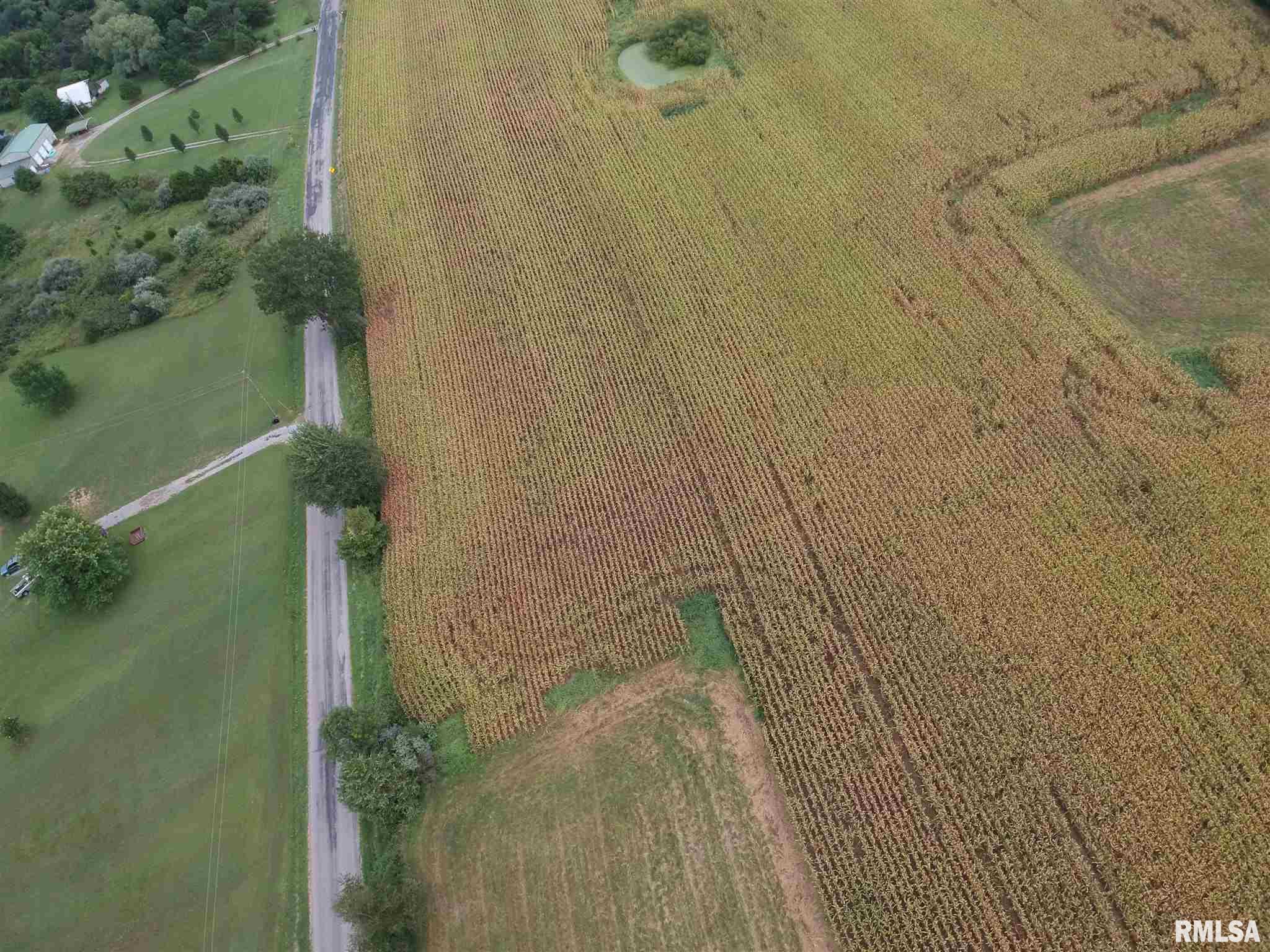 0 Pleasant Valley Road Creal Springs, IL 62922 - Photo 5 of 5 Gallery Image 5