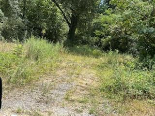 1554 Dallas Lake Road Hixson, TN 37343 - Photo 3 of 6 1554 Dallas Lake Road Land #2