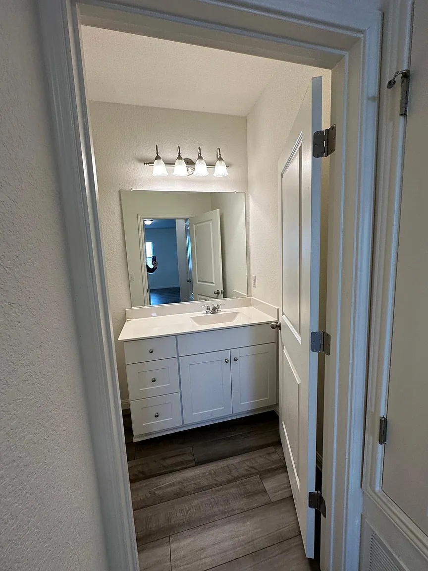 114 Aoudad Road Hutto, TX 78634 - Photo 10 of 22 Bathroom featuring vanity, dark wood finished floors, and a textured wall