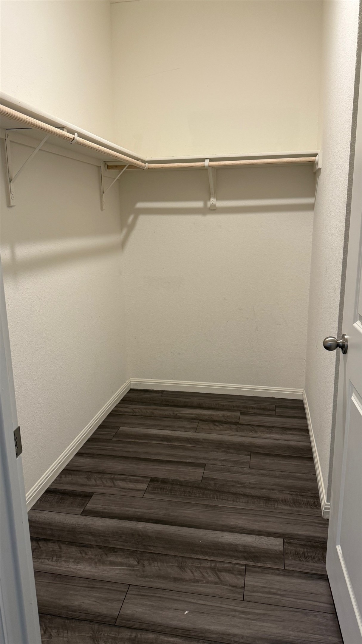 114 Aoudad Road Hutto, TX 78634 - Photo 17 of 22 Walk in closet with dark wood-style flooring
