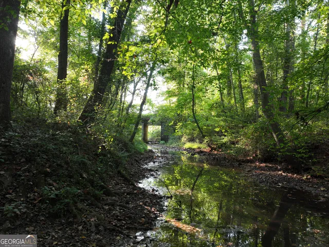 $80,000 | 0 Shady Grove Road, Carrollton, GA 30116