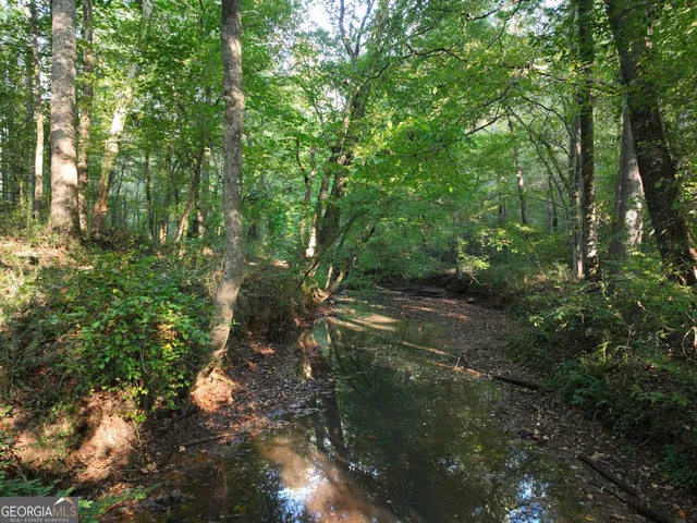 $80,000 | 0 Shady Grove Road, Carrollton, GA 30116