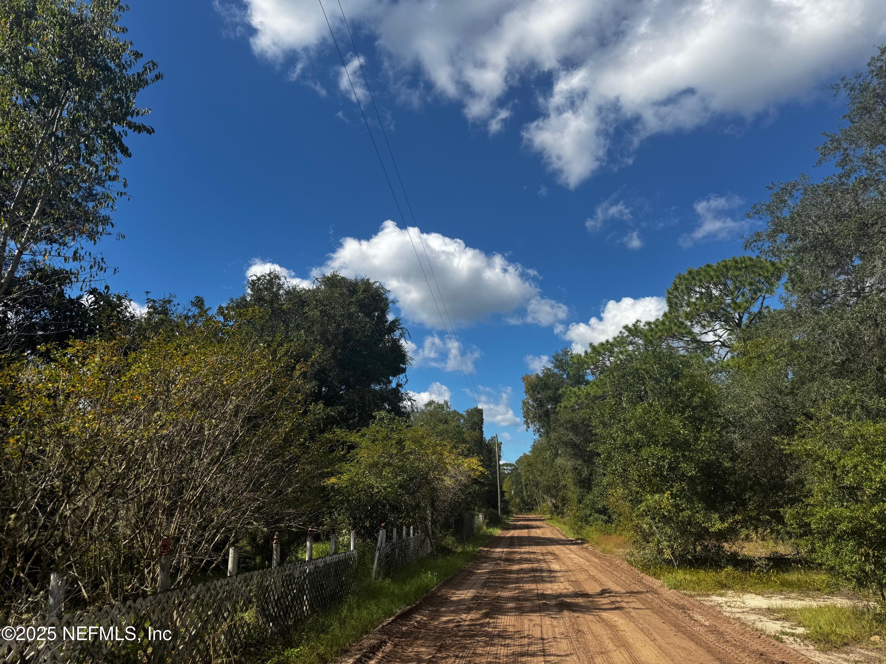 113 3rd Street Melrose, FL 32666 - Photo 2 of 4 a view of a yard with plants and trees