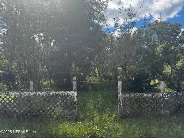 a view of a yard