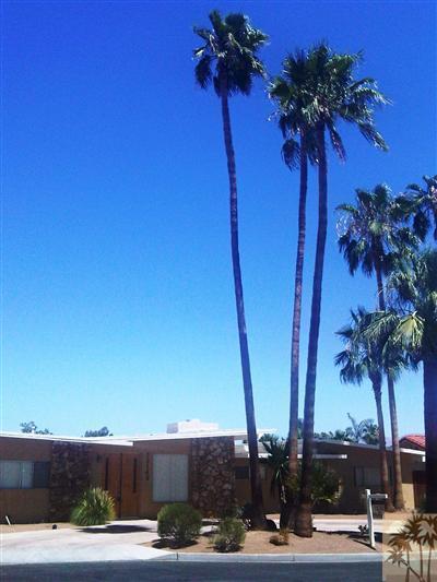 72140 Rancho Road Rancho Mirage, CA 92270 - Photo 3 of 13 a view of a palm tree with flower plants