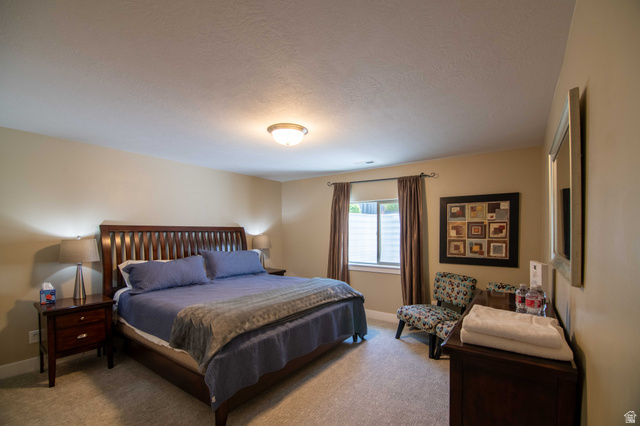 646 East 1400th Street North Mapleton, UT 84664 - Photo 38 of 78 Spacious room featuring neutral paint tones and carpeted flooring