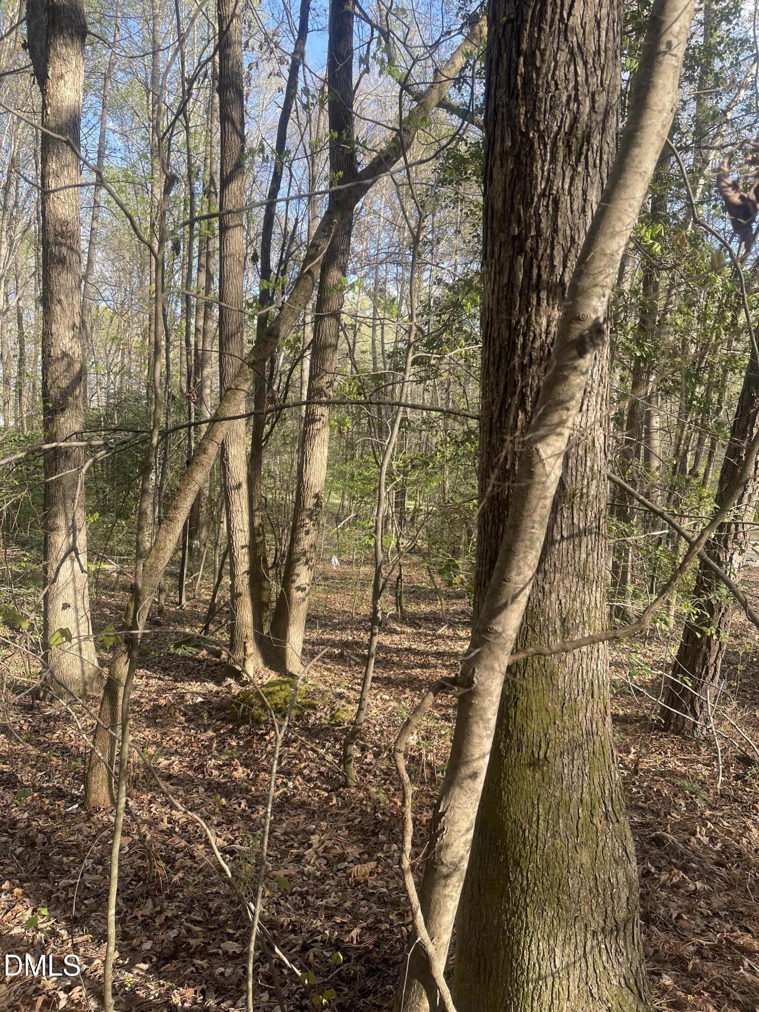 0 Ed Lane Carthage, NC 28327 - Photo 2 of 3 Ed Ln 2