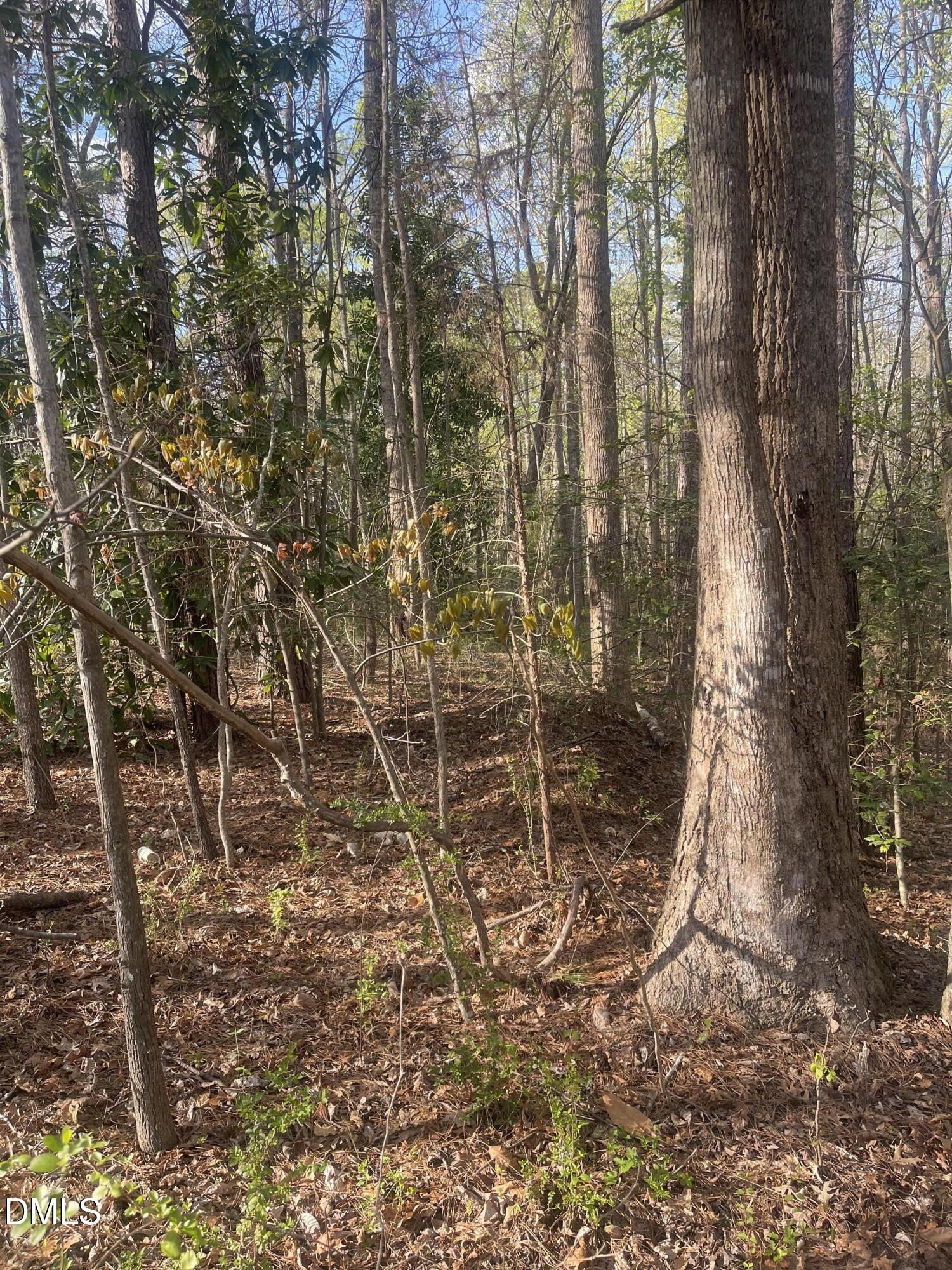 0 Ed Lane Carthage, NC 28327 - Photo 3 of 3 Ed Ln 3