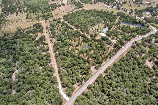 a close up of a plant