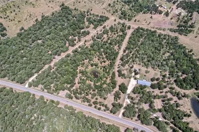 a view of a forest with a tree