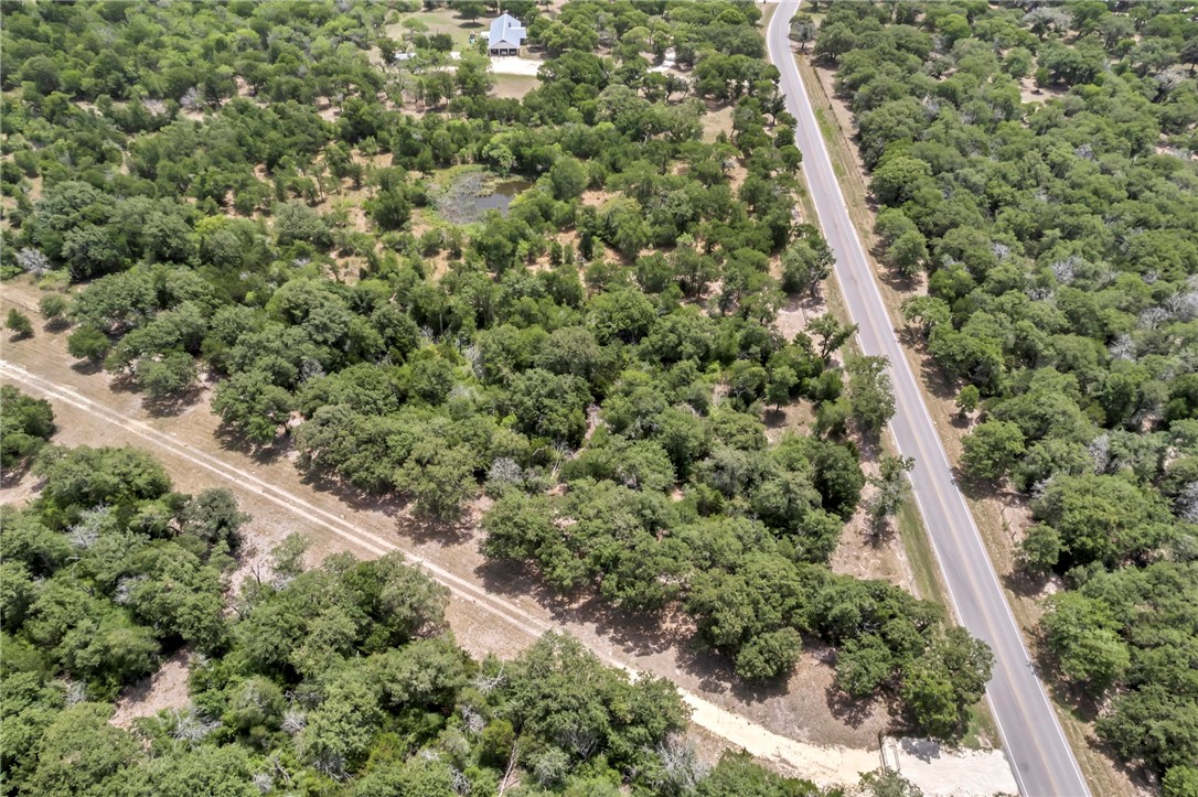 5 - Hog Eye Rd Manor Manor, TX 78653 - Photo 12 of 34 a view of a forest with a tree