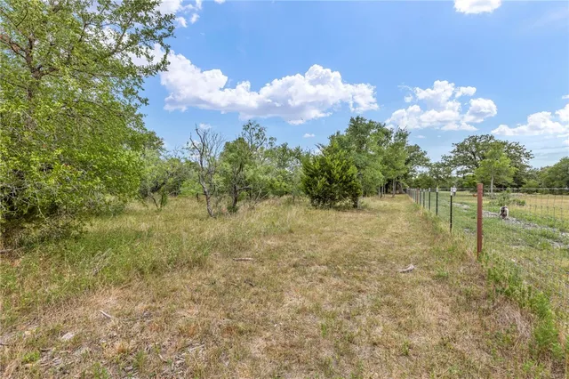 a view of a yard with a tree
