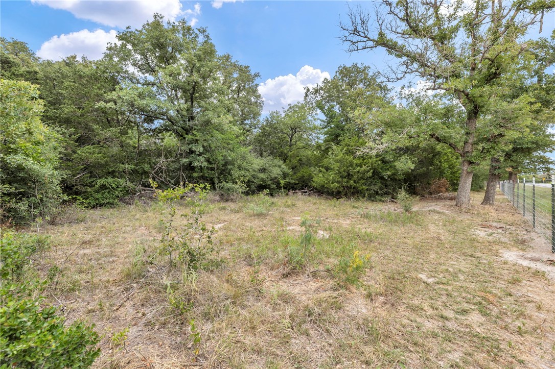 5 - Hog Eye Rd Manor Manor, TX 78653 - Photo 20 of 34 a view of outdoor space and yard