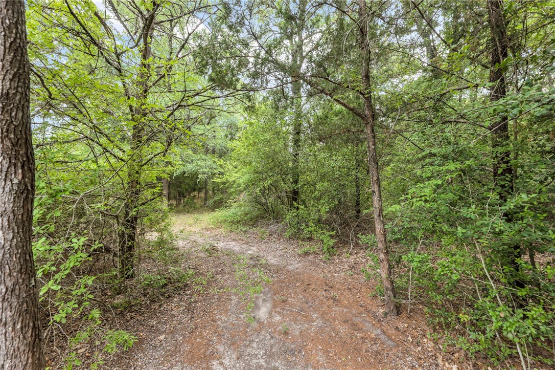 5 - Hog Eye Rd Manor Manor, TX 78653 - Photo 27 of 34 a view of a forest with trees in the background