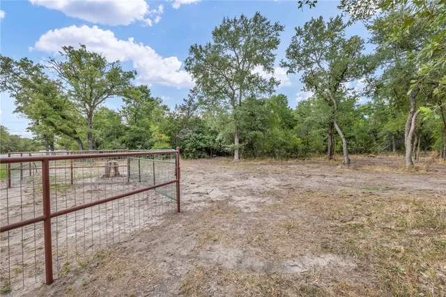 a view of a dry yard with trees