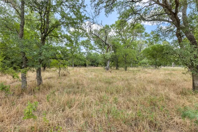 a view of outdoor space with trees