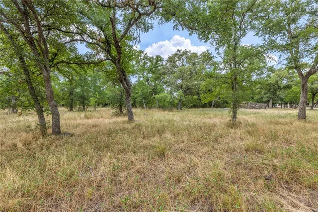 a view of a grassy field with trees in the background