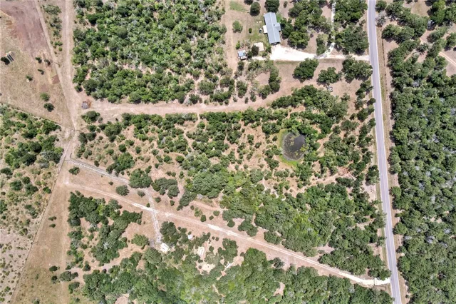 a view of a garden with a tree
