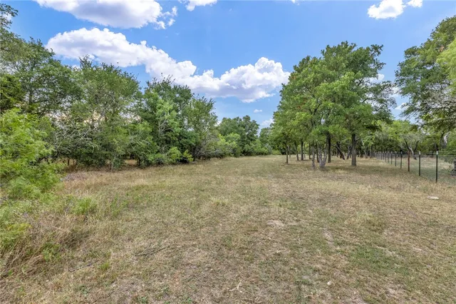a view of a forest with trees in the background