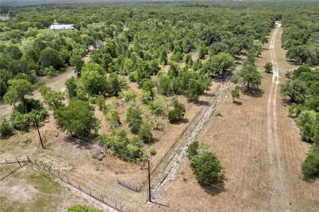 a view of a yard with plants and large trees