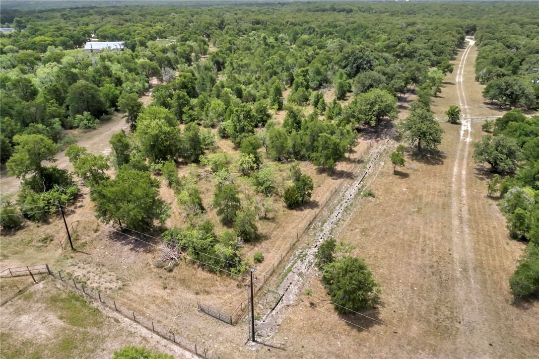 5 - Hog Eye Rd Manor Manor, TX 78653 - Photo 6 of 34 a view of a yard with plants and large trees