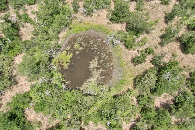 a view of a green field with lots of bushes