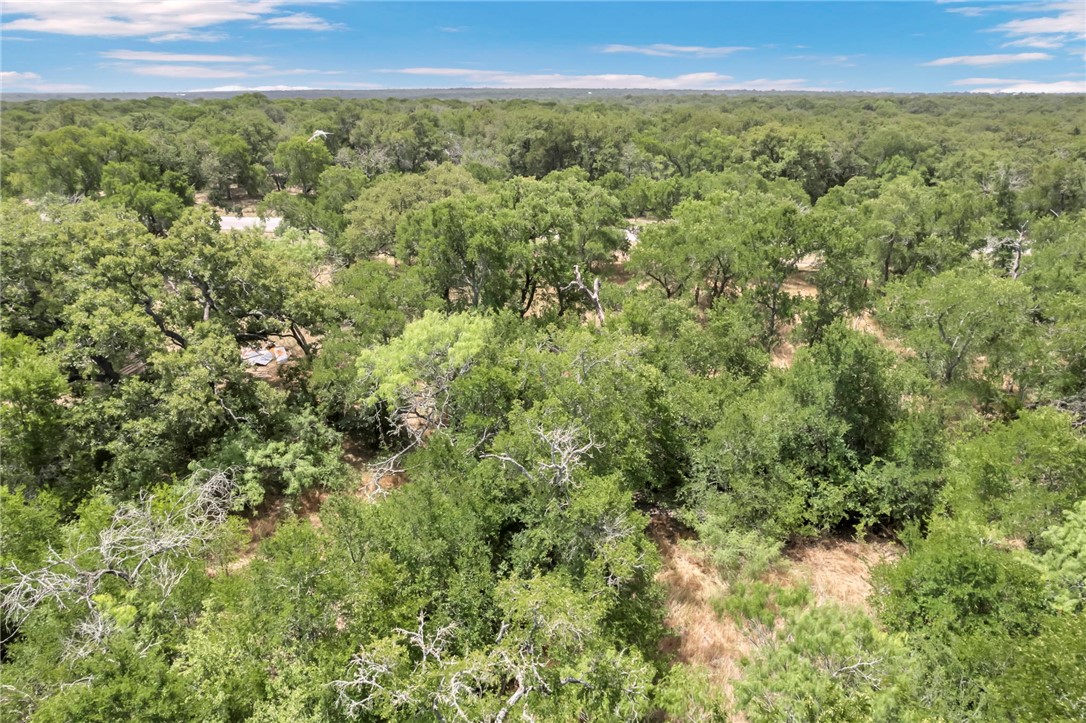 5 - Hog Eye Rd Manor Manor, TX 78653 - Photo 10 of 34 a view of a green field with lots of bushes