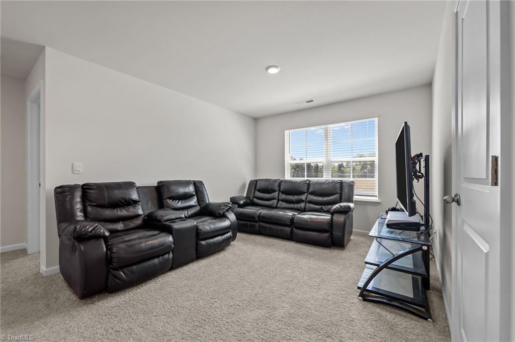 218 Birch Tree Way Mayodan, NC 27027 - Photo 19 of 50