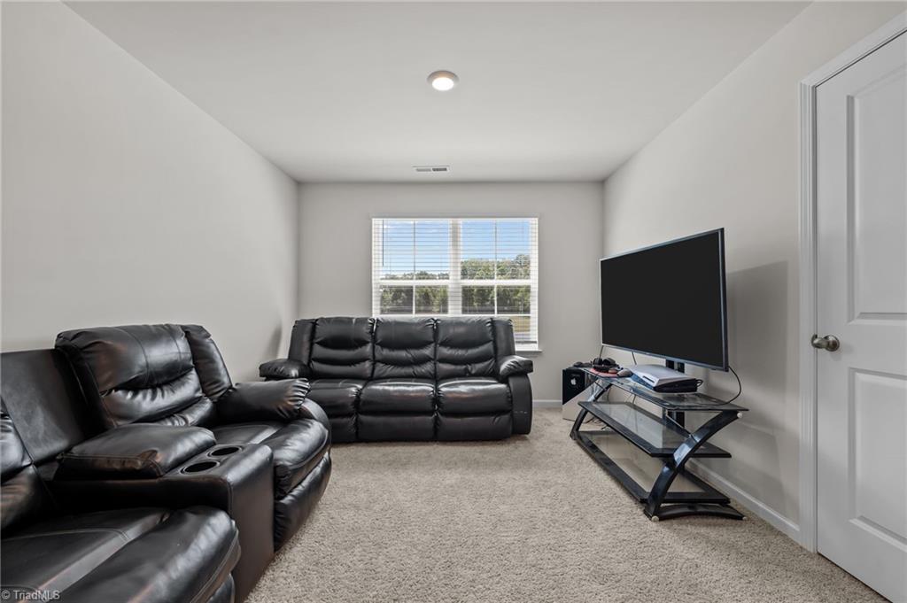 218 Birch Tree Way Mayodan, NC 27027 - Photo 20 of 50