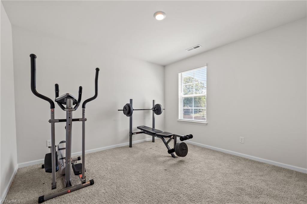 218 Birch Tree Way Mayodan, NC 27027 - Photo 23 of 50