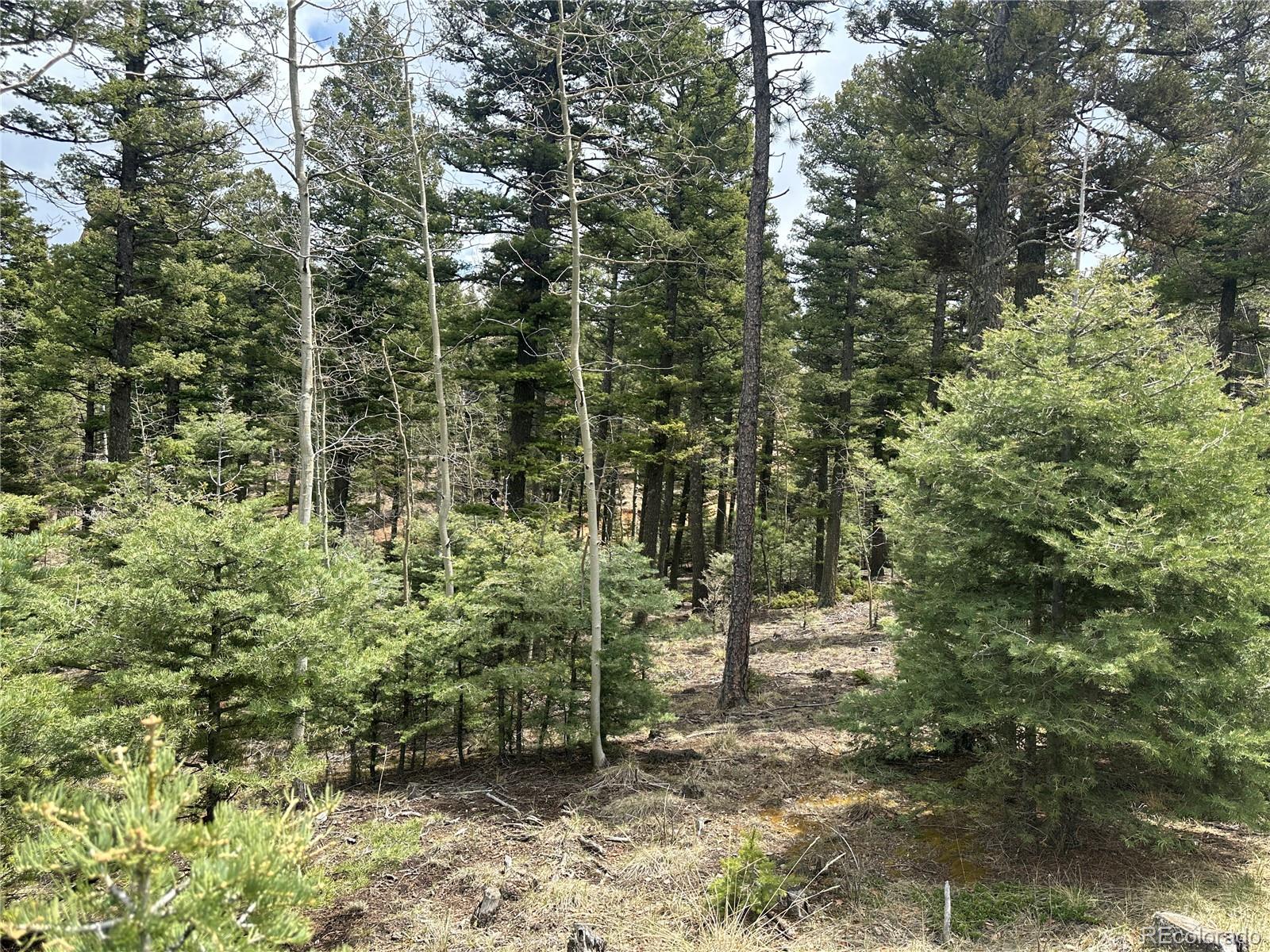 357 Big Horn Road Manitou Springs, CO 80829 - Photo 11 of 20 a view of outdoor space and trees