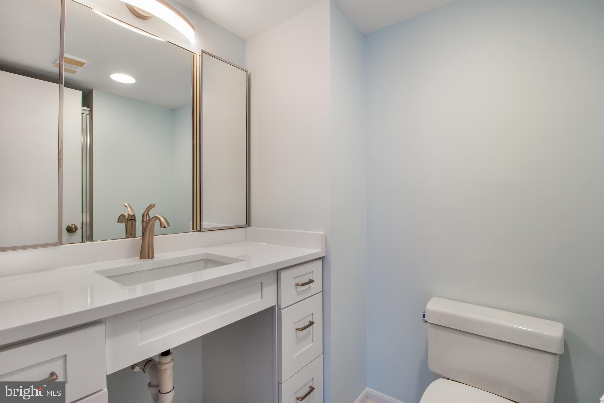 15115 Interlachen Drive, Unit 31020 Silver Spring, MD 20906 - Photo 24 of 48 a bathroom with a granite countertop toilet sink and mirror
