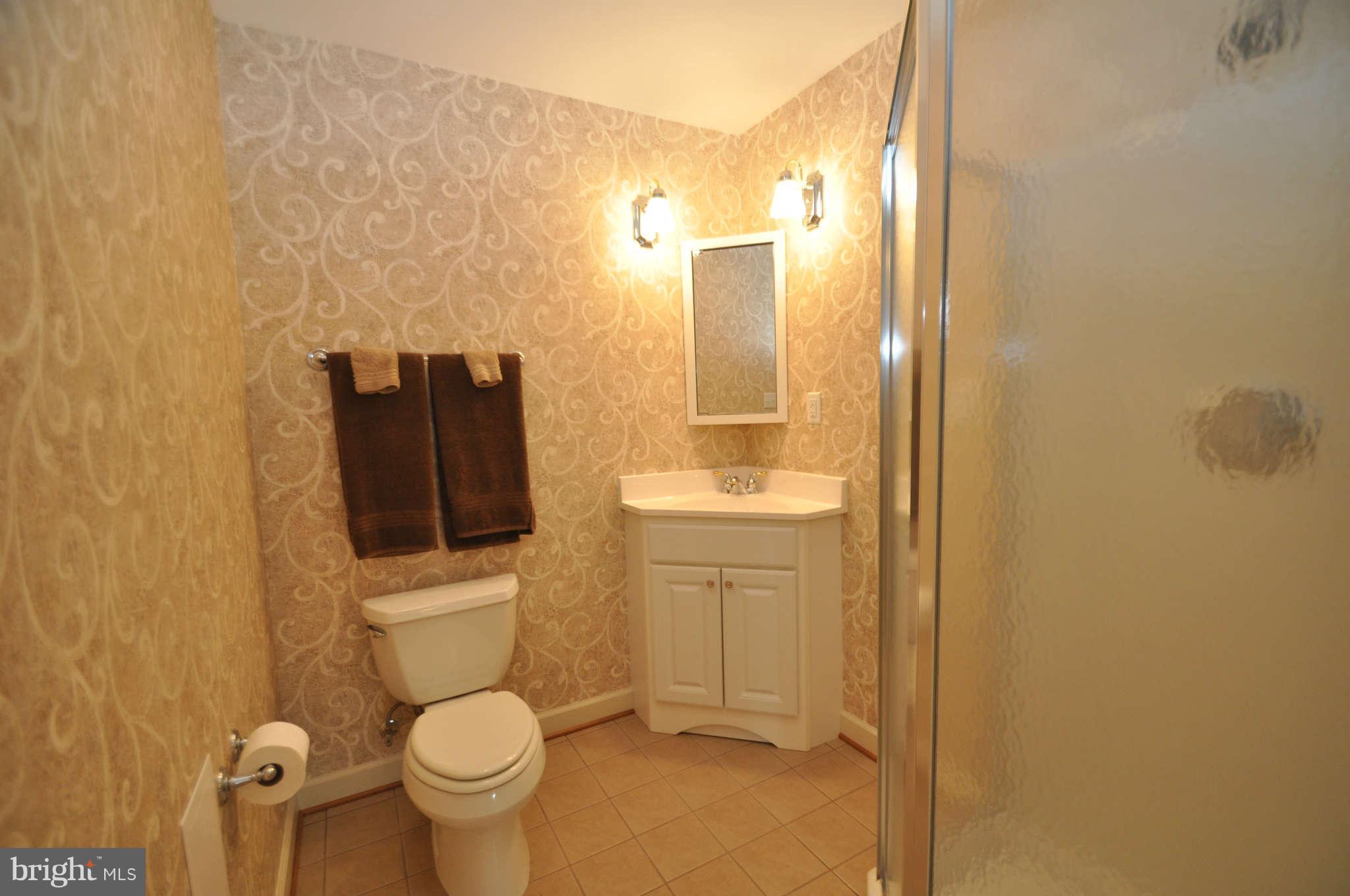2871 Sommersby Road Mount Airy, MD 21771 - Photo 26 of 29 Full Bath in Basement
