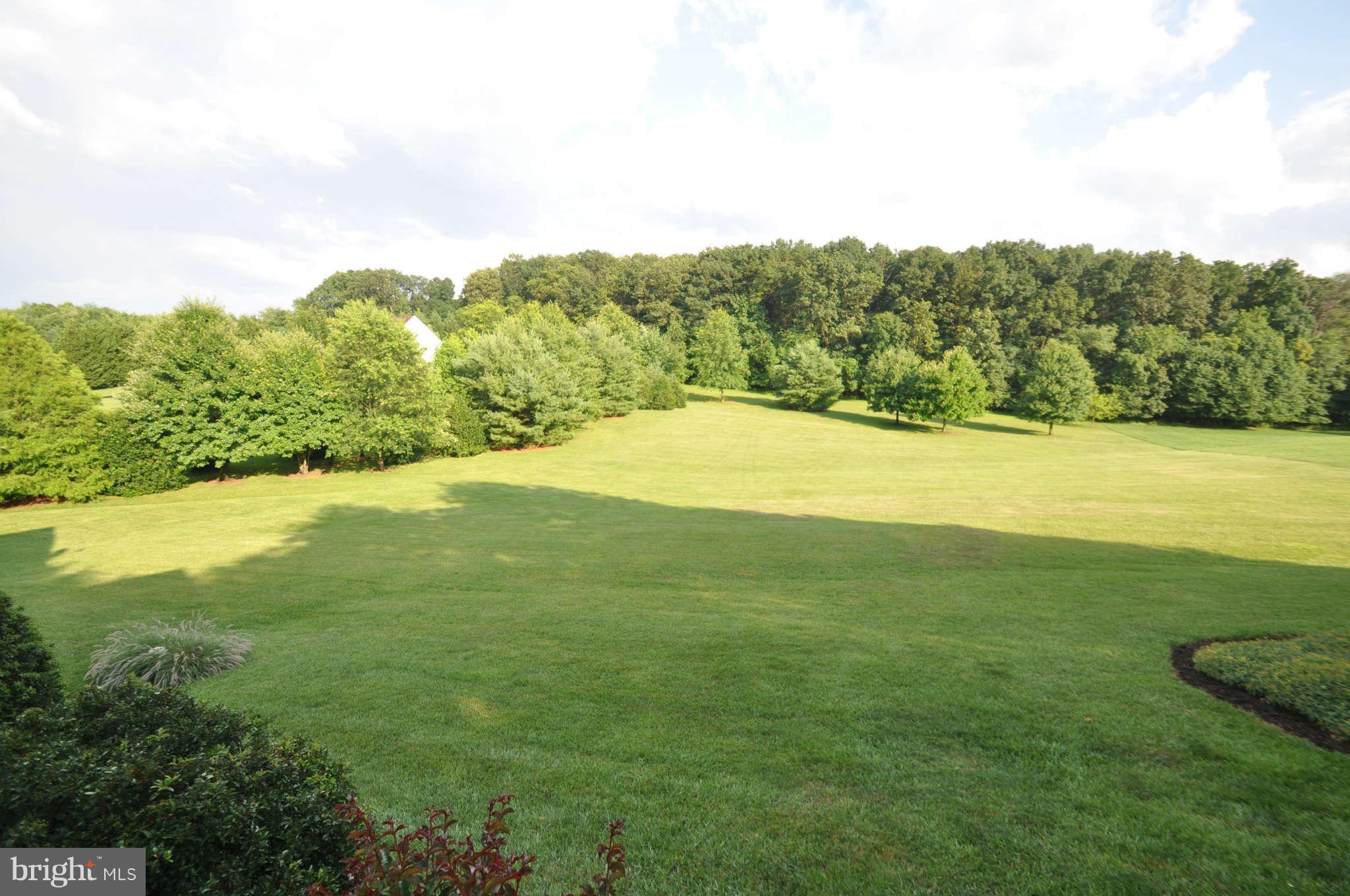 2871 Sommersby Road Mount Airy, MD 21771 - Photo 29 of 29 HUGE Backyard backs to Woods