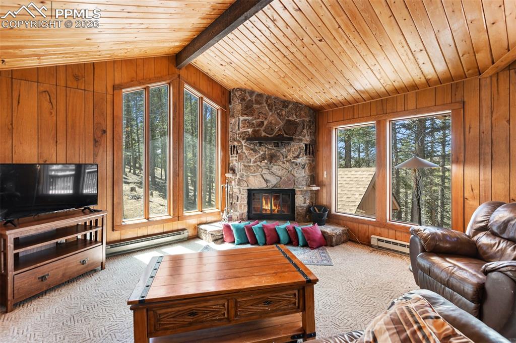 351 Porphry Road Florissant, CO 80816 - Photo 6 of 43 Family Room Room
