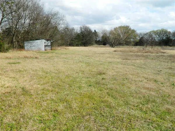 a view of a dry yard