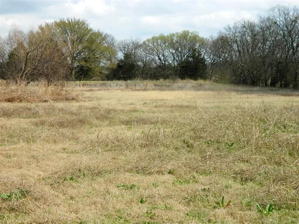a backyard of a house with trees and plants