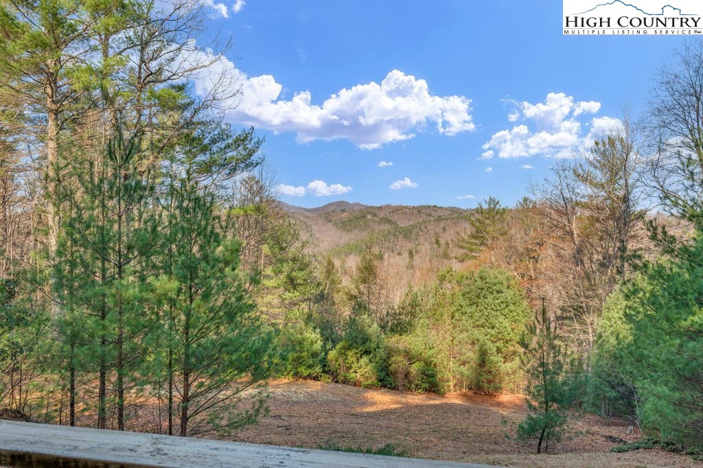 801 Wagon Ridge Road Ferguson, NC 28624 - Photo 14 of 44 a view of a bunch of trees