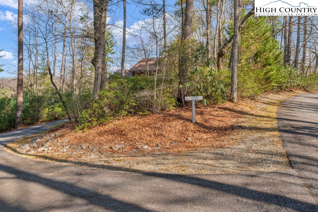 801 Wagon Ridge Road Ferguson, NC 28624 - Photo 6 of 44 a backyard of a house with lots of green space