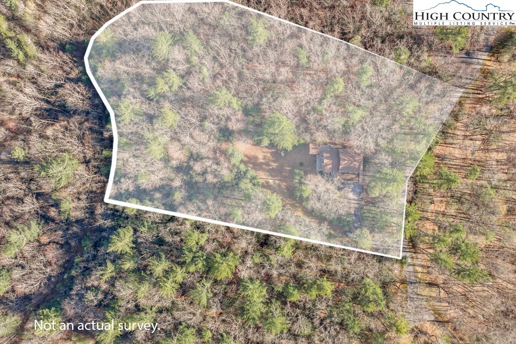 801 Wagon Ridge Road Ferguson, NC 28624 - Photo 7 of 44 a view of entryway with a tree