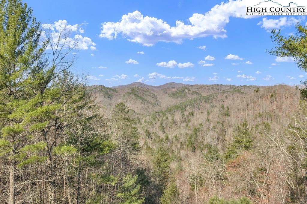 801 Wagon Ridge Road Ferguson, NC 28624 - Photo 9 of 44 a view of a city