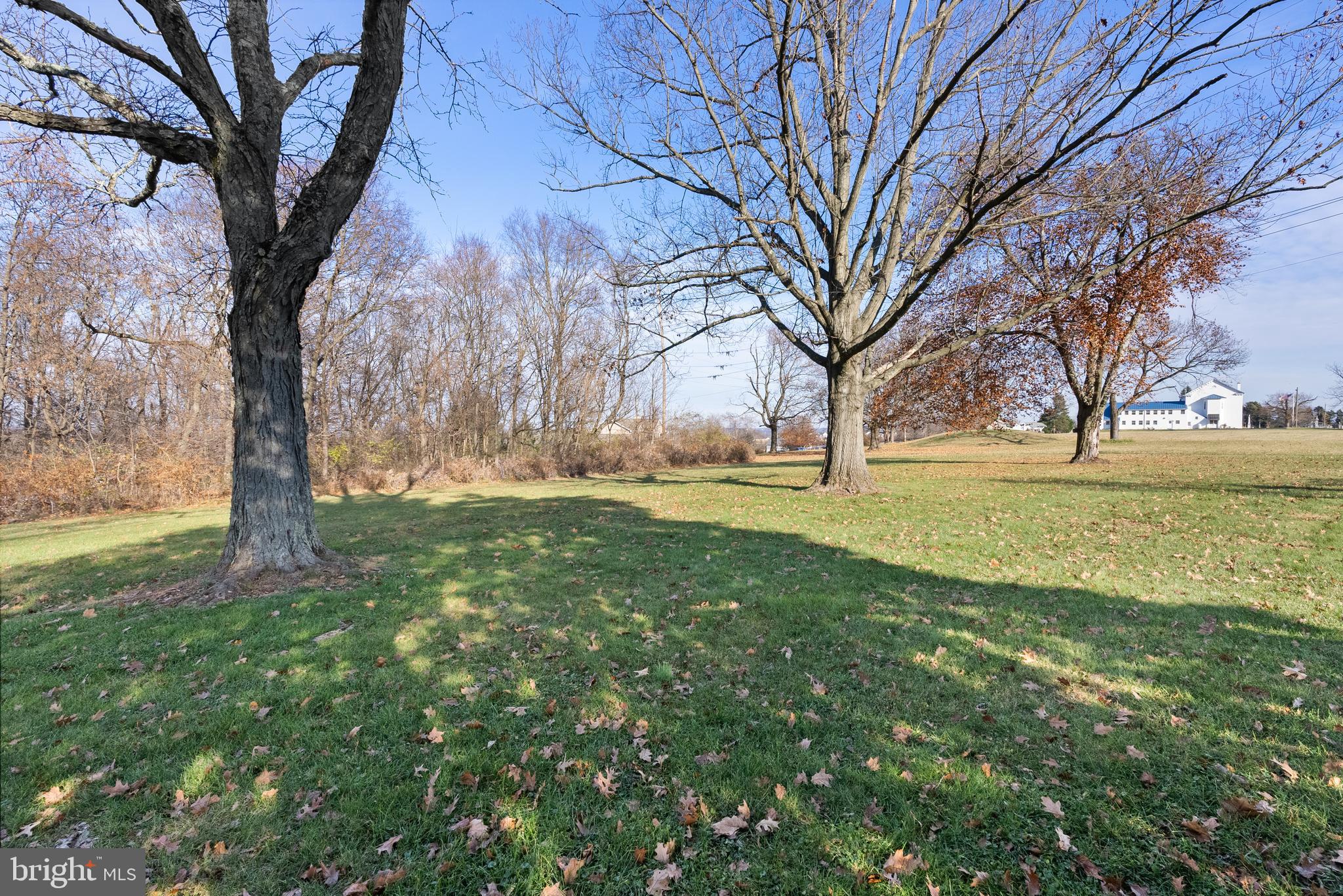 135 Ridge Road Spring City, PA 19475 - Photo 42 of 42 back yard