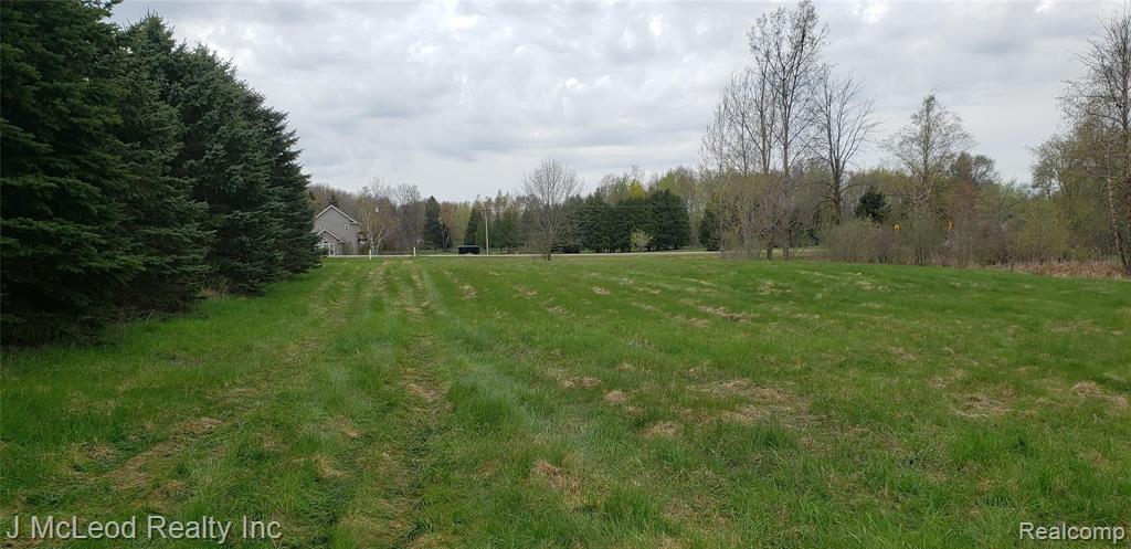 Parcel F Parcel F Birch Run Millington, MI 48746 - Photo 17 of 20