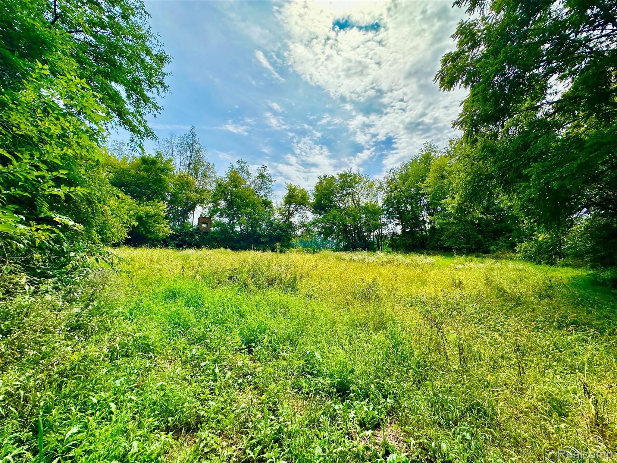 4520 Dutton Road Gregory, MI 48137 - Photo 24 of 29 024_beyc6a9ad313d9b89.jpg