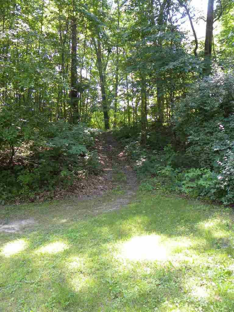 11383 North Bray Road Clio, MI 48420 - Photo 38 of 40 50049679-37.JPG