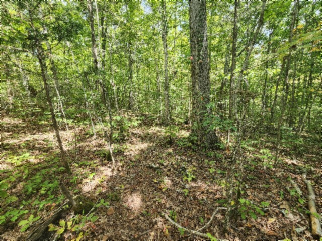 0 Glenobey Road Jamestown, TN 38556 - Photo 1 of 32 a view of a yard