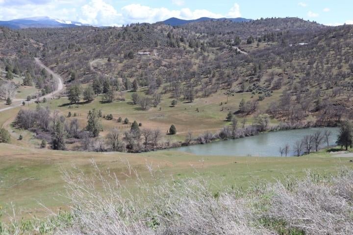 6930 Copco Road Hornbrook, CA 96044 - Photo 4 of 27 Gallery Image 4