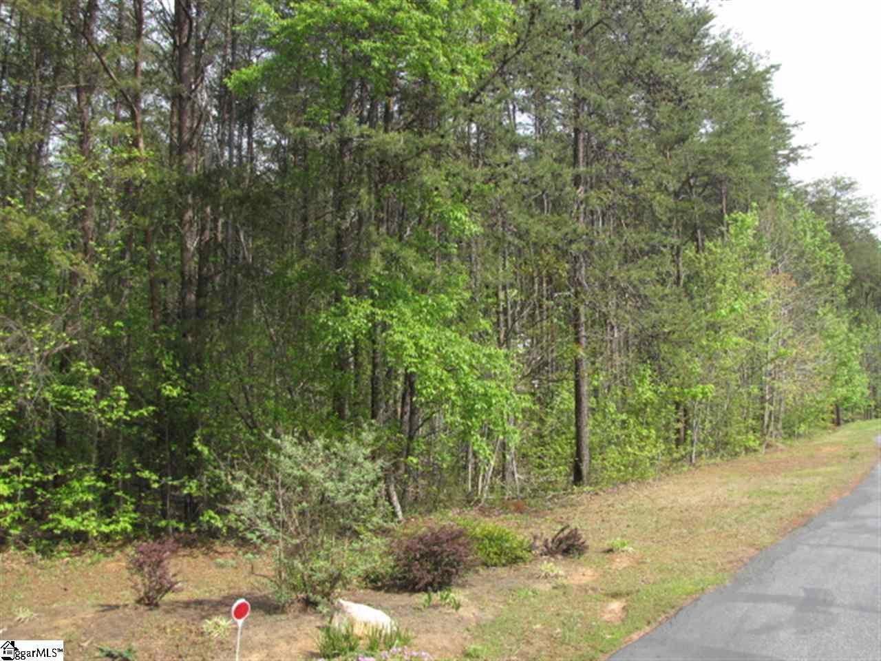 0 Bomar Road Taylors, SC 29687 - Photo 2 of 4