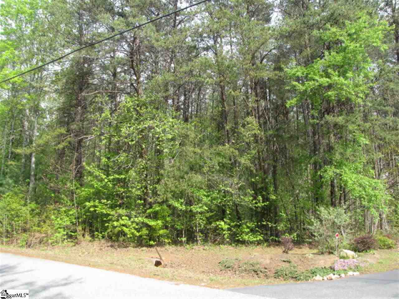 0 Bomar Road Taylors, SC 29687 - Photo 3 of 4